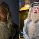 Ian McKellen as Gandalf, Michael Gambon as Dumbledore.